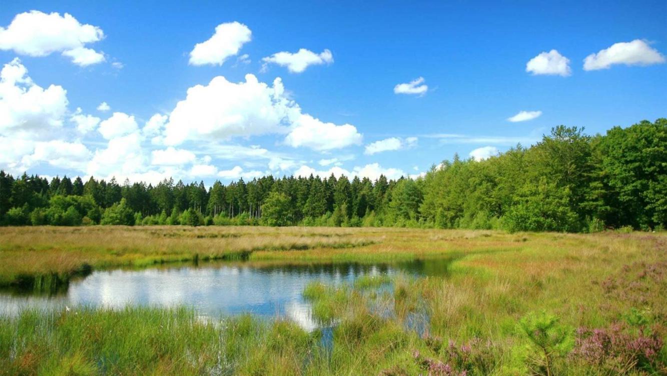 Comfortabel Chalet In Nationaal Park Wateren Esterno foto