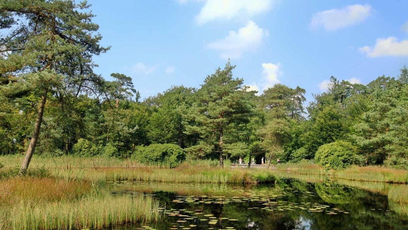 Comfortabel Chalet In Nationaal Park Wateren Esterno foto